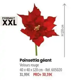 Retif Poinsettia géant offre