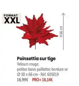 Retif Poinsettia sur tige offre