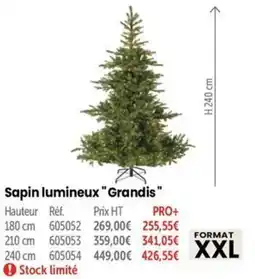 Retif Sapin lumineux Grandis offre