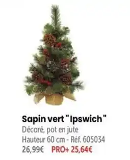 Retif Sapin vert Ipswich offre