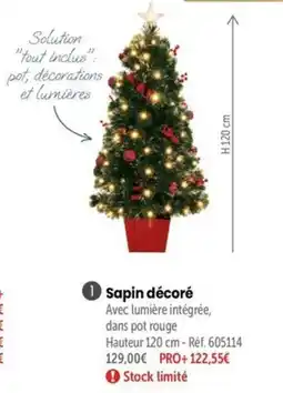 Retif Sapin décoré offre