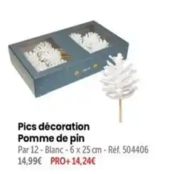 Retif Pics décoration Pomme de pin offre
