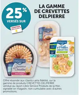 Bi1 Delipierre offre