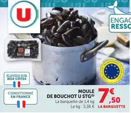 Bi1 MOULE DE BOUCHOT U STG offre