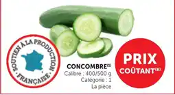 Bi1 CONCOMBRE offre