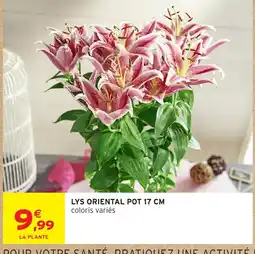 Intermarché Hyper LYS ORIENTAL offre