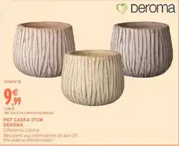 Intermarché DEROMA POT CASKA 17CM offre