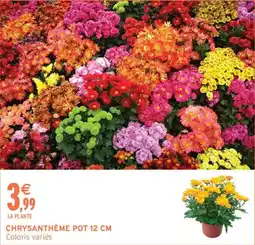 Intermarché CHRYsanthème offre