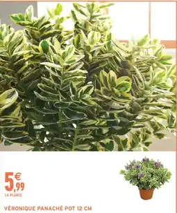 Intermarché VÉRONIQUE PANACHÉ offre