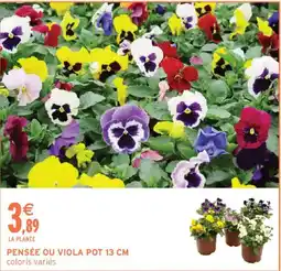 Intermarché Pensée ou viola pot offre