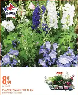 Intermarché FLEURS DE FRANCE offre