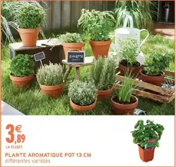 Intermarché PLANTE AROMATIQUE offre