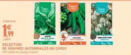 Intermarché ERNEST JARDIN MÂCHE VERTE À COEUR PLEIN 3 offre