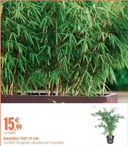 Intermarché Bambou pot offre