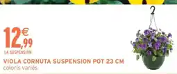 Intermarché VIOLA CORNUTA SUSPENSION offre