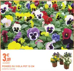 Intermarché Hyper Pensée ou viola pot offre