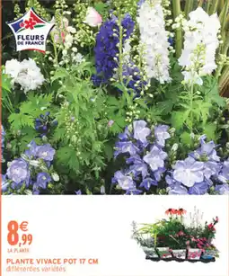 Intermarché Hyper Fleurs de france offre
