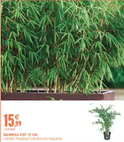 Intermarché Hyper Bambou pot offre