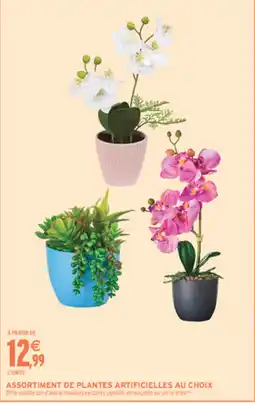 Intermarché Hyper ASSORTIMENT DE PLANTES ARTIFICIELLES offre