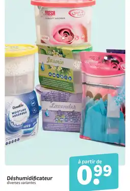 Wibra Déshumidificateur offre