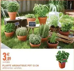 Intermarché Plante aromatique pot 13 cm offre