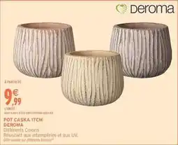 Intermarché Pot caska 17cm offre