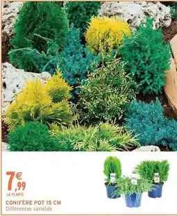 Intermarché Conifere pot offre