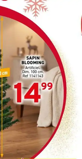 SAPIN BLOOMING