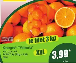 Norma Oranges(e) "Valencia" offre