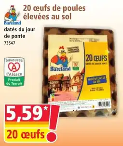 Norma Bureland œufs de poules élevées au sol offre