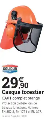 Espace emeraude SOLIDUR Casque forestier offre
