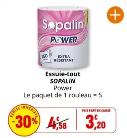 Coccinelle Supermarché SOPALIN Essuie-tout Power offre