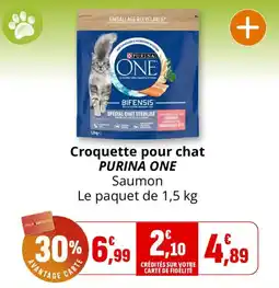 Coccinelle Supermarché PURINA ONE Croquette pour chat offre