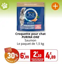 Coccinelle Express PURINA ONE Croquette pour chat offre