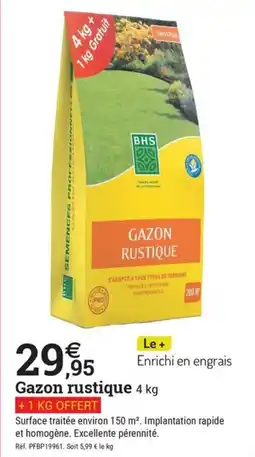 Espace emeraude BHS Gazon rustique offre