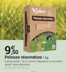 Espace emeraude Solem Pelouse rénovation offre