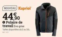 Espace emeraude Kapriol Polaire de travail Evo grise offre