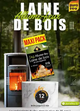 Mr Bricolage Pyro feu Allume-feux de bois offre