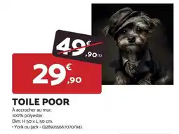 Bricomarché TOILE POOR offre