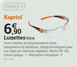 Espace emeraude Kapriol Lunettes Blink offre