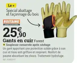 Espace emeraude ROSTAING Gants en cuir Forest offre