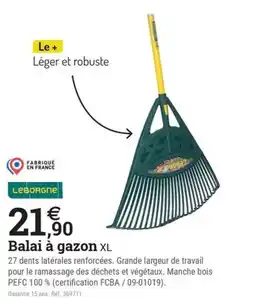 Espace emeraude Leborgne Balai à gazon XL offre