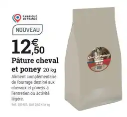 Espace emeraude Cheval-Poney Pature offre