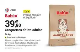 Espace emeraude Babin Croquettes chien adulte offre