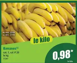 Norma Bananes offre