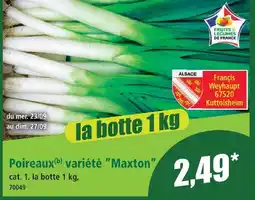Norma Poireaux variété maxton offre