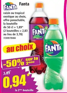 Norma Fanta offre