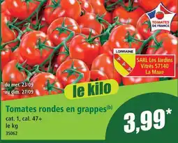 Norma Tomates rondes en grappes offre