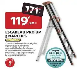 Bricomarché Centaure - escabeau pro up 5 marches offre