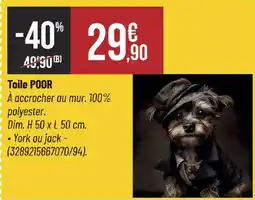 Bricorama POOR Toile offre
